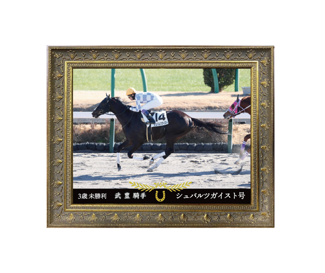 シュバルツガイスト 友禅染め額