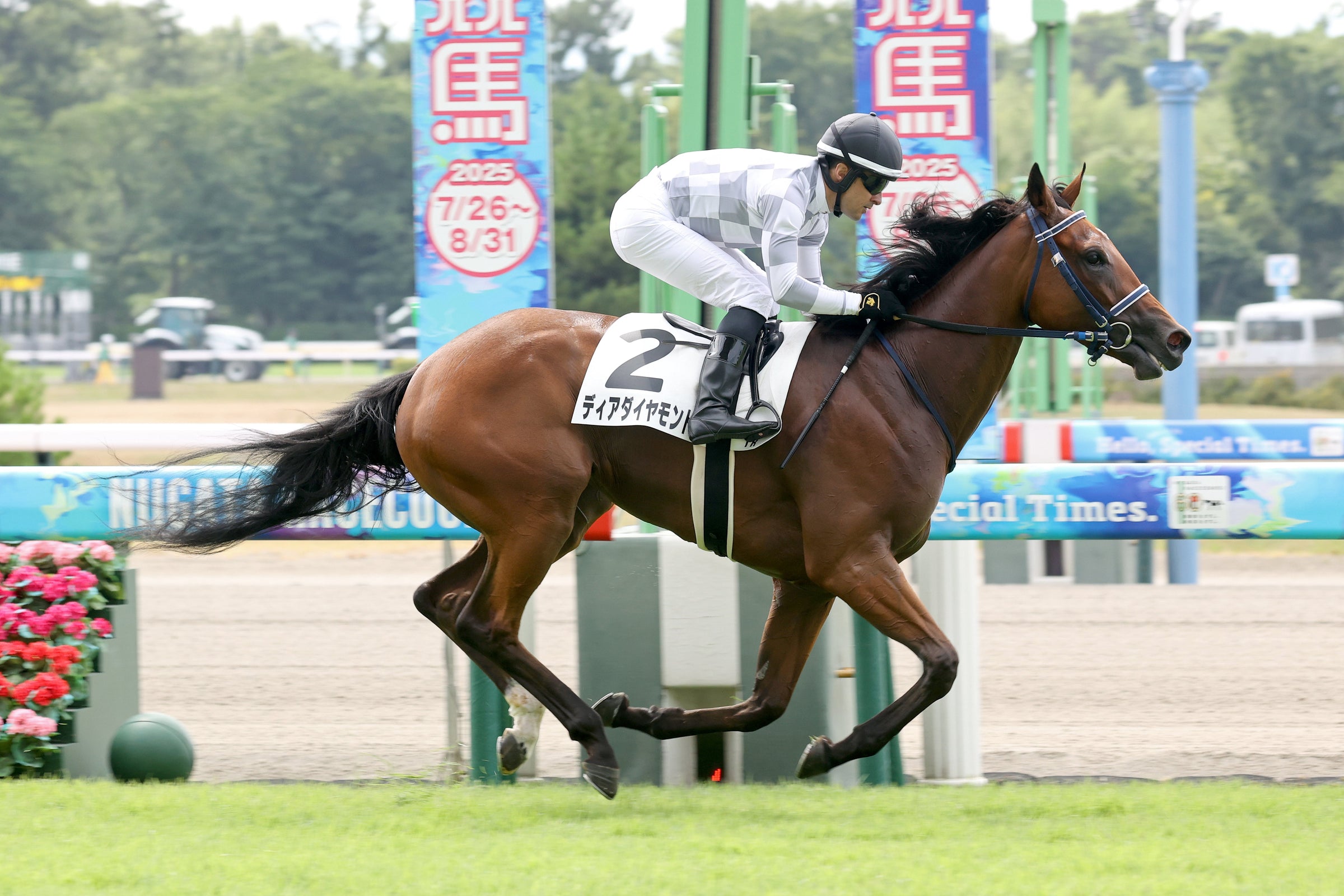 ディアダイヤモンド