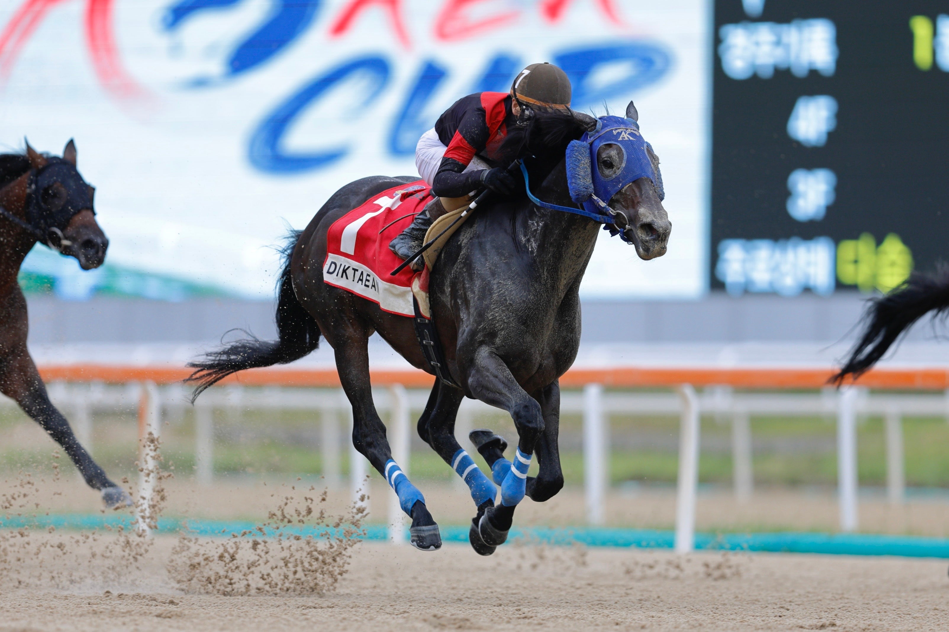 競走馬グッズ35点キーホルダー・ネクタイピン・クリスタル・ブラントン
