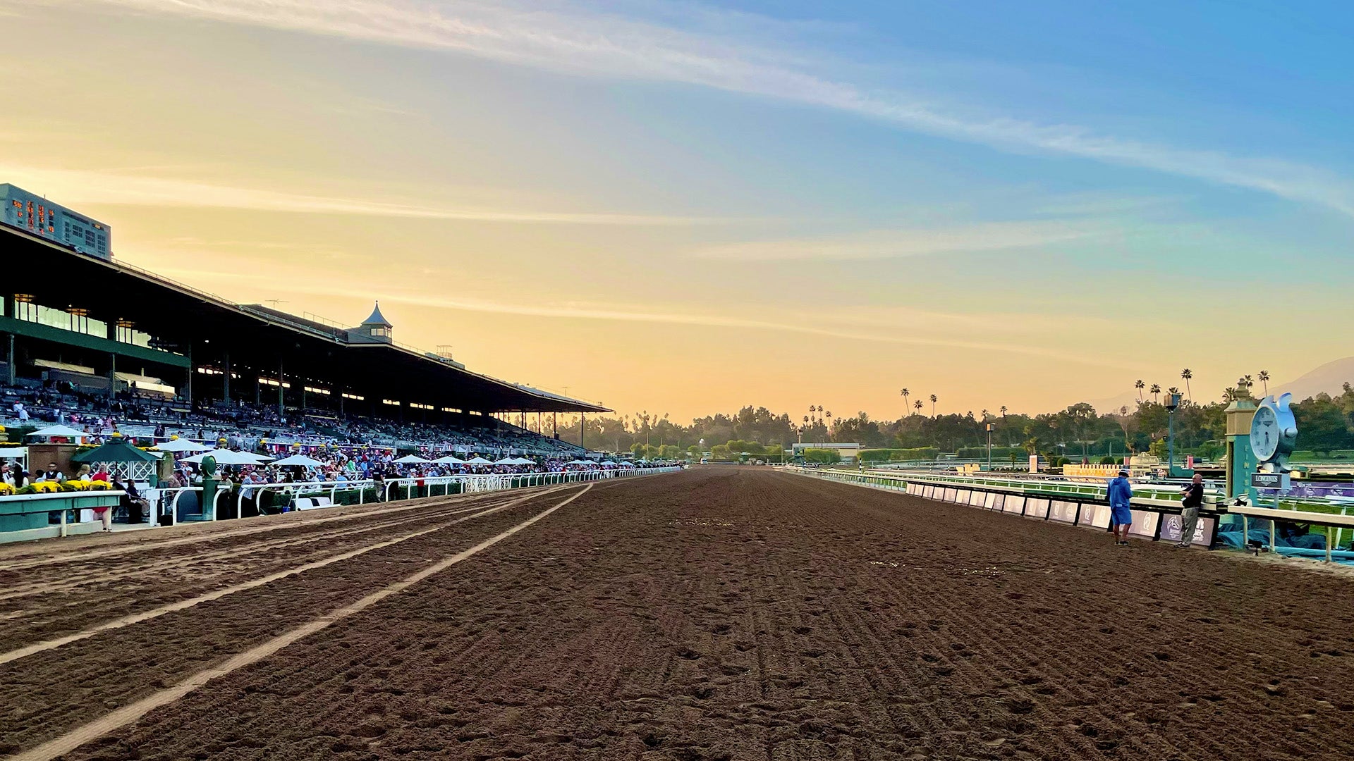 「ドウデュース」ゼッケン鞍チャーム ダービー馬をデザインしたゼッケン鞍チャーム｜JRA 日本中央競馬